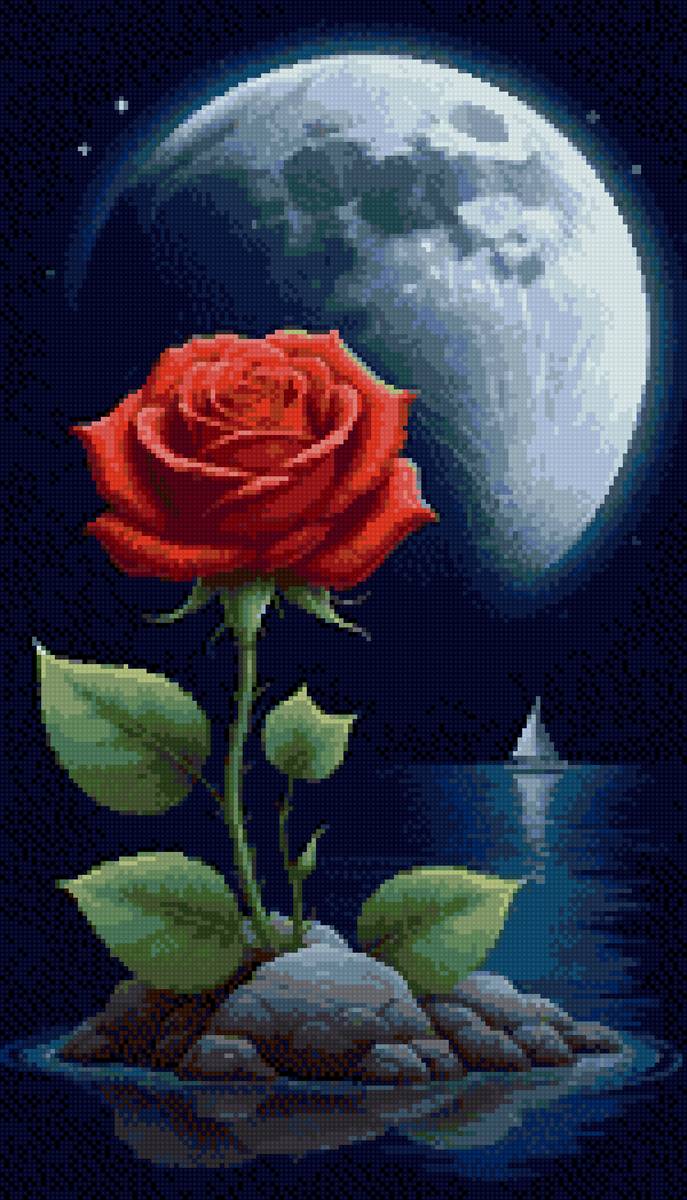 Роза - предпросмотр