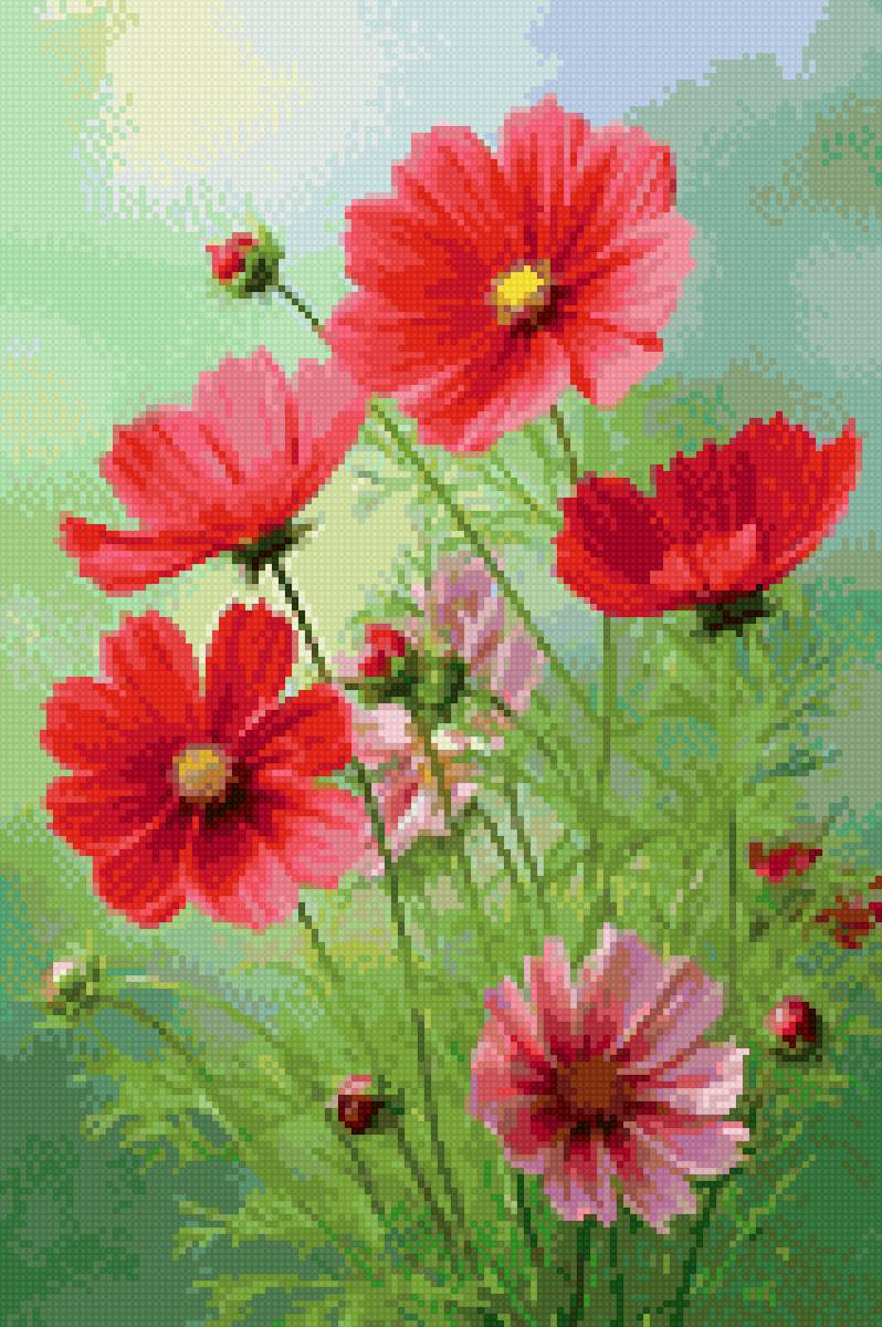 Цветы - цветы - предпросмотр