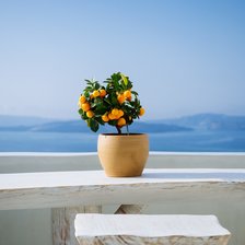 Схема вышивки «греция»