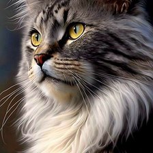 Схема вышивки «кот»