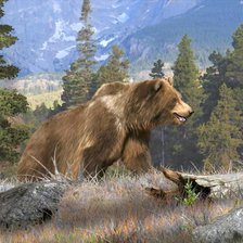 Схема вышивки «№2856247»