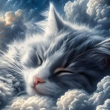 Схема вышивки «кот»