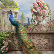 Схема вышивки «павлины»