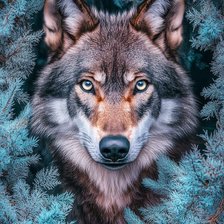 Схема вышивки «Волк в ёлках»