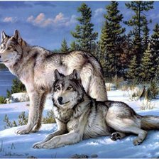Схема вышивки «Семья волков в зимнем лесу 72.6*55.7см»
