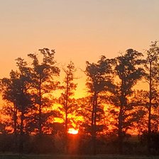 Atardecer en colectivo
