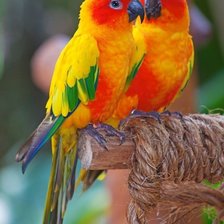 Схема вышивки «№2858149»