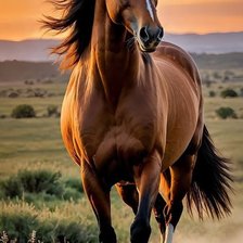 Схема вышивки «№2859275»