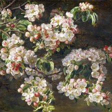 Схема вышивки «Йохан дженсен»