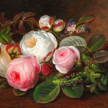 Схема вышивки «Йохан дженсен»