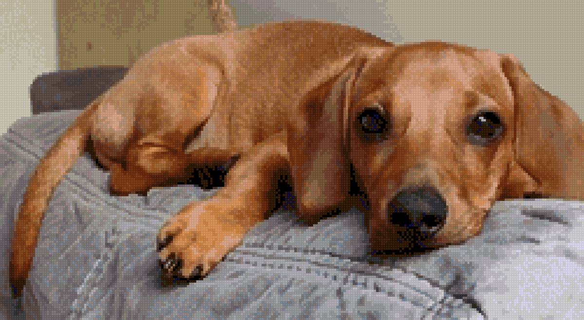 ЛАКИ - предпросмотр