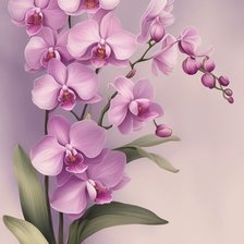 Схема вышивки «Орхидеи»