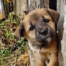 Схема вышивки «малыш»