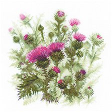 чертополох