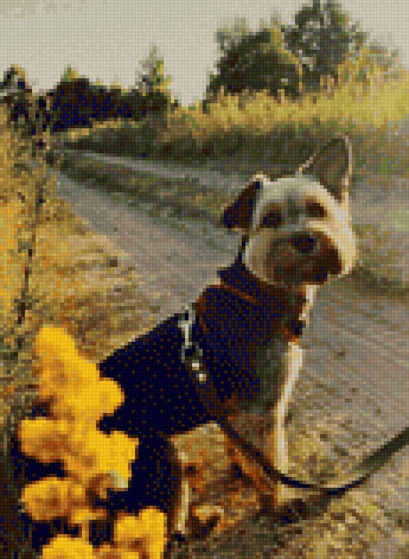 Lexi-dmc - dmc, dog - предпросмотр