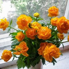 Схема вышивки «жарки»