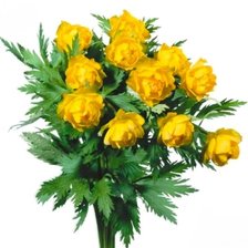 Схема вышивки «жарки»