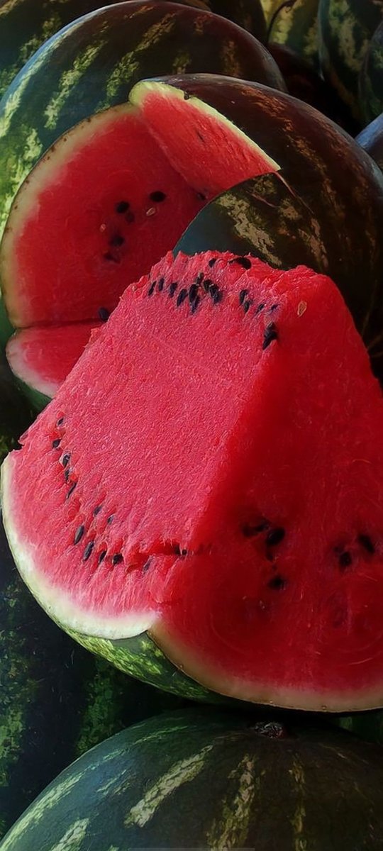 №2860526 - оригинал