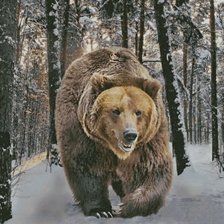 Схема вышивки «Хозяин тайги»