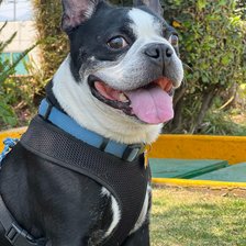 Схема вышивки «MAYANIN CROSTI RU»