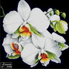 Схема вышивки «Орхидея»