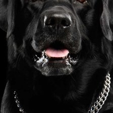 Схема вышивки «№2862090»