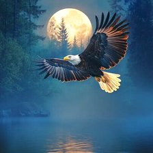 Схема вышивки «Орёл»