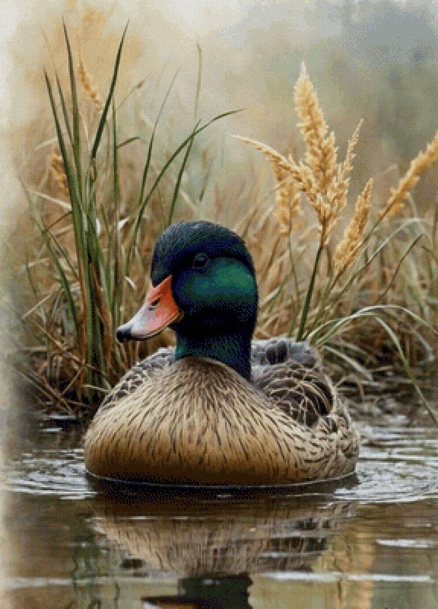 №2862337 - предпросмотр