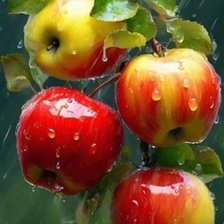 Схема вышивки «№2862517»