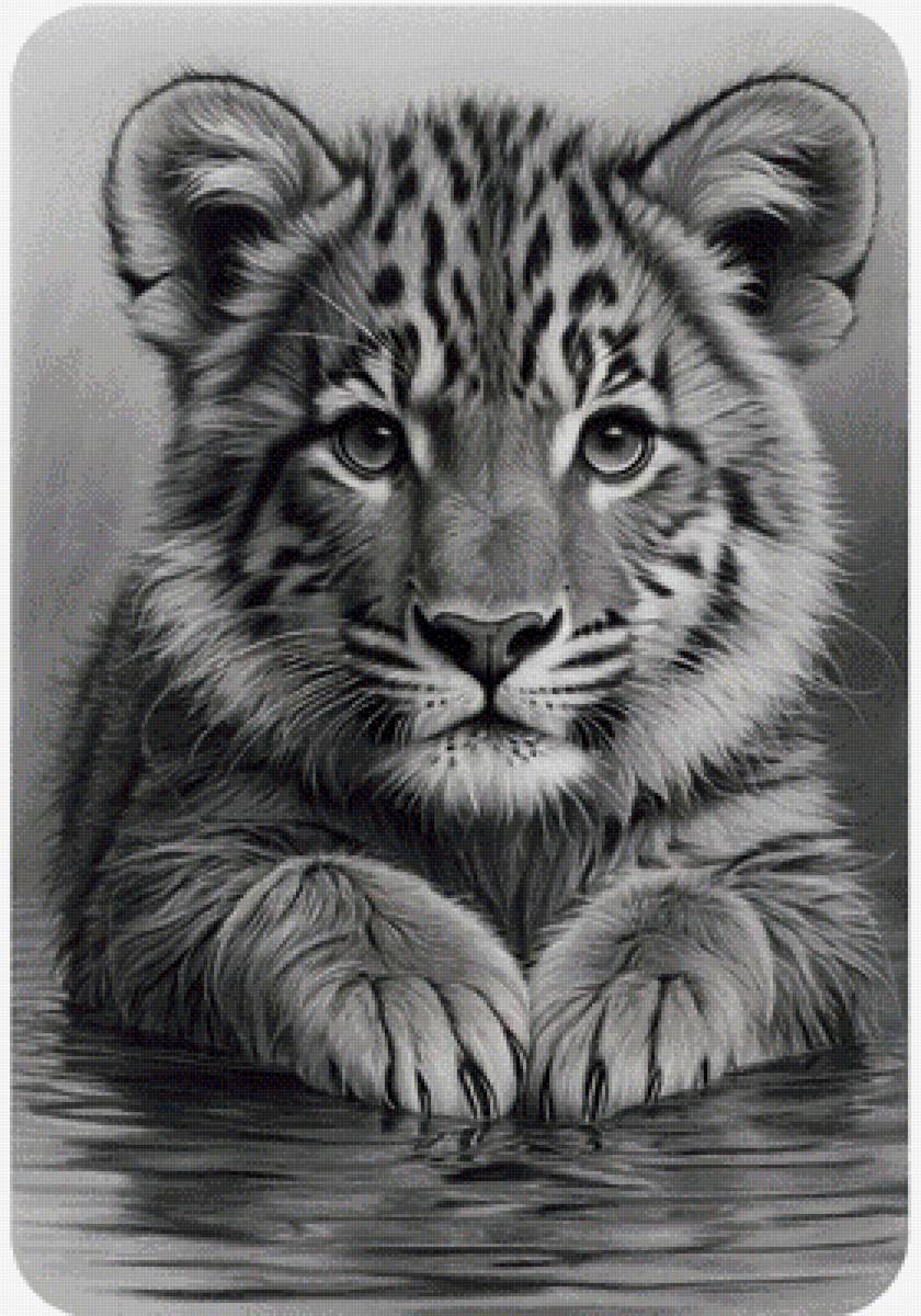 №2862536 - предпросмотр