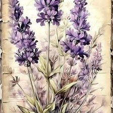 Схема вышивки «№2862701»