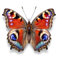 Схема вышивки «№2862821»