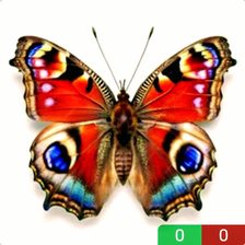 Схема вышивки «Рисунок»