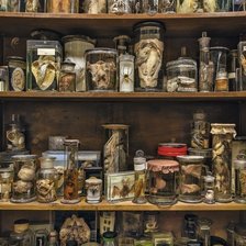 Полка в лаборатории