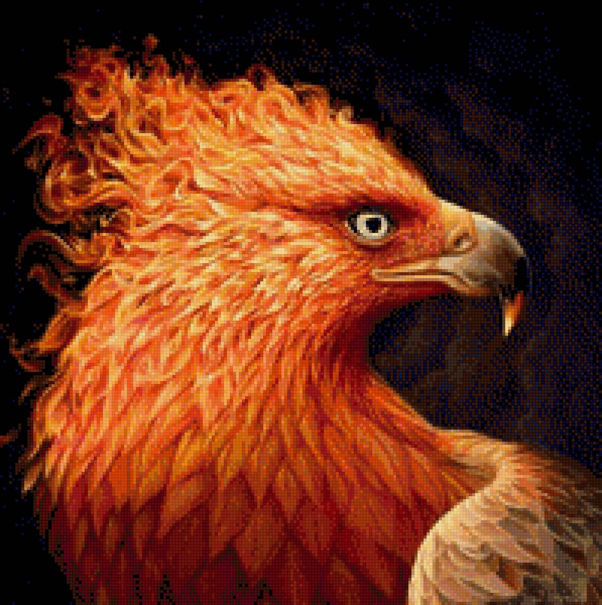 Феникс - предпросмотр