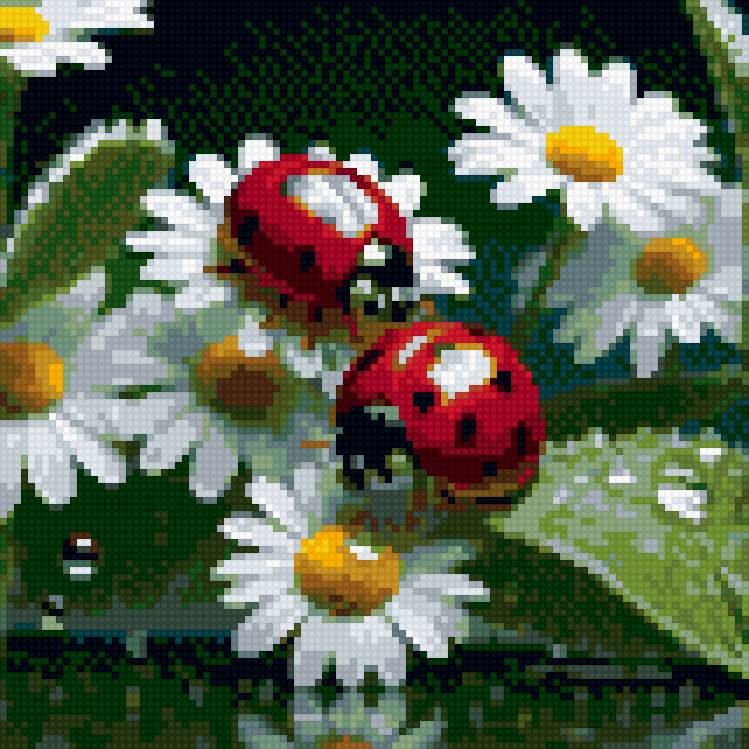 Божие коровки - божие коровки - предпросмотр