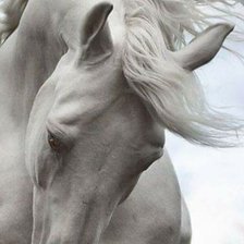 Схема вышивки «Лошадка_вер.02 (диф.90)»