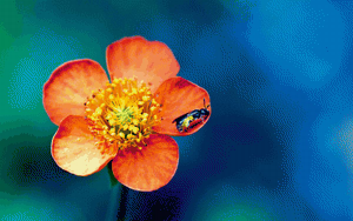 Цветок - цветы - предпросмотр