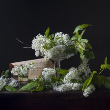 Схема вышивки «Цветы»