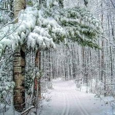 Схема вышивки «№2863879»