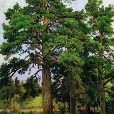 Схема вышивки «Сосна без солнца. Иван Шишкин»