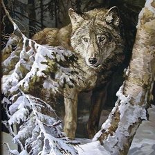 В лесу. Владимир Сасов