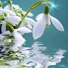 Схема вышивки «№2864174»