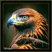 Схема вышивки «Птицы»