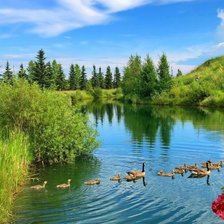 Схема вышивки «Озеро2»