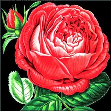 Схема вышивки «Подушка»