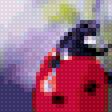 Предпросмотр схемы вышивки «Божья коровка» (№2864930)