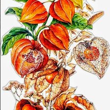 Схема вышивки «Растение»