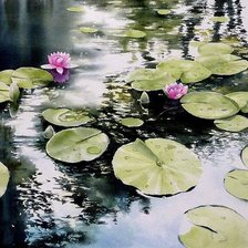 Схема вышивки «Абе Тошиюки_1»