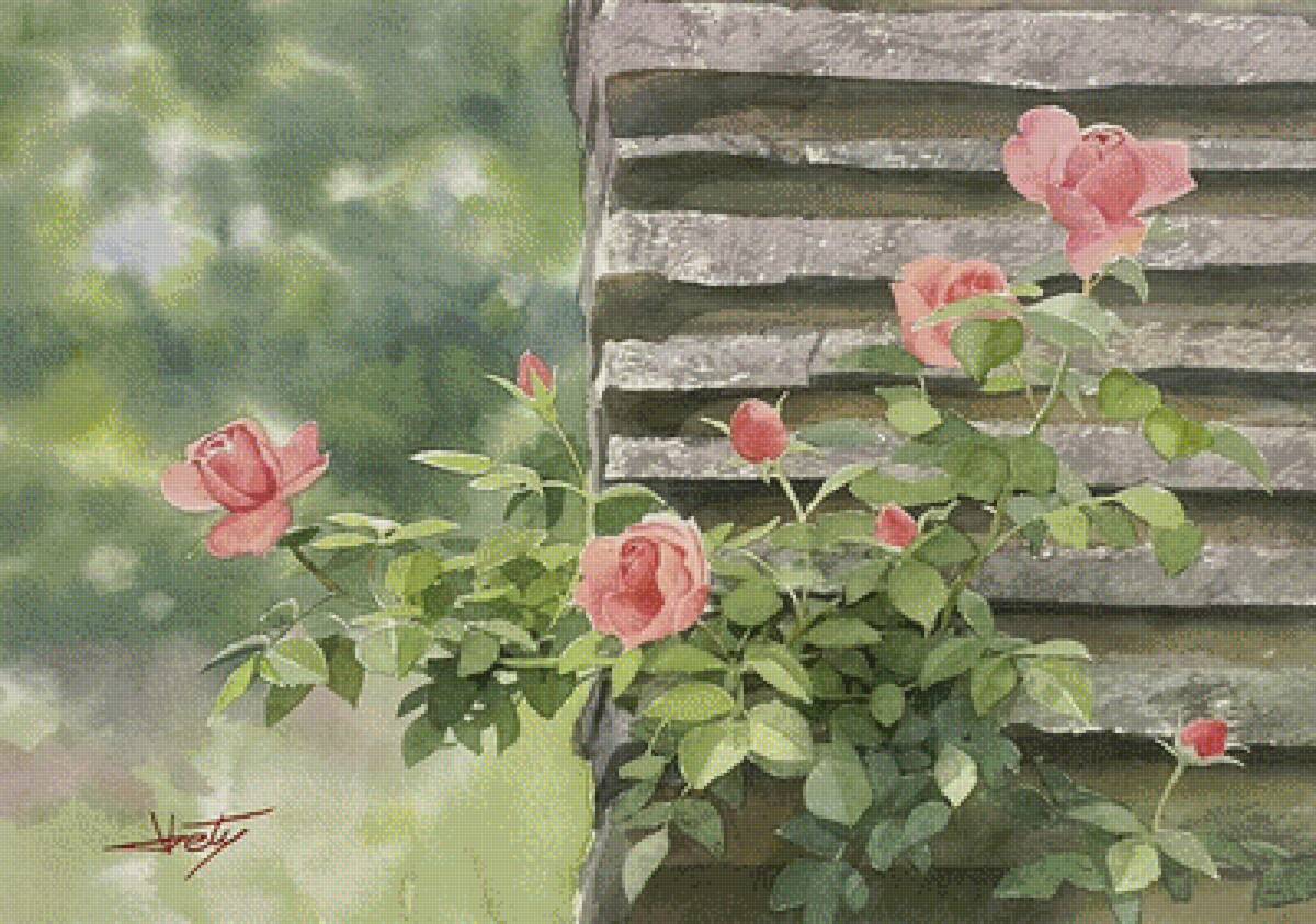 Абе Тошиюке_5 - природа, акварель, картина, розы, пейзаж - предпросмотр